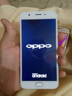 oppo