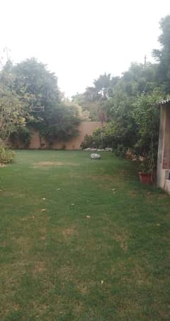 defence 1000 yards bungalow for rent with basement