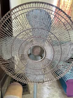 Pedestal Fan Royal Fan 24 Inch