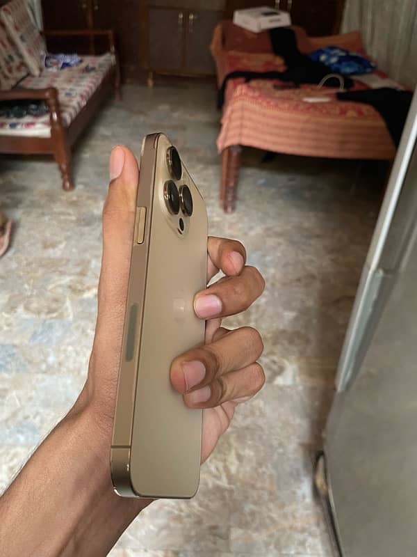 iphone 14 pro max jv golden 1