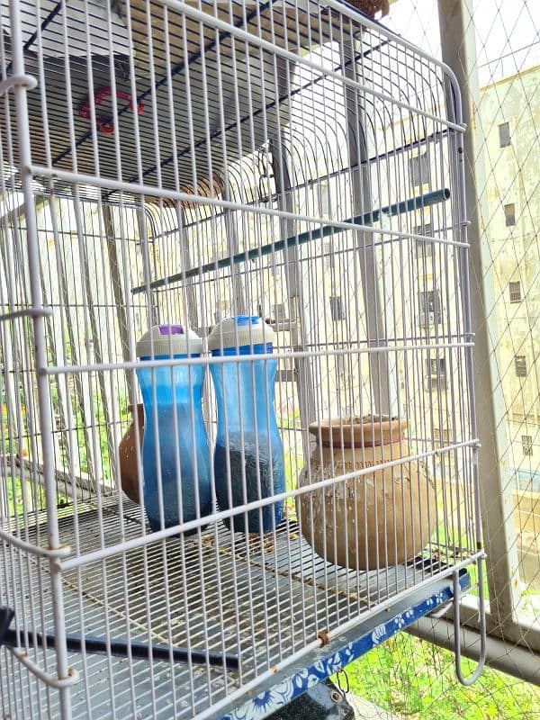 High Guage Colony Cage 2