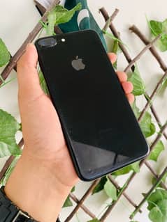 Iphone 7 Plus Pta approved