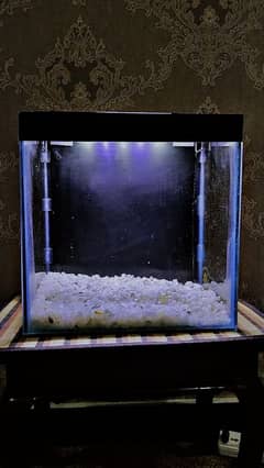 Affordable 1ft Glass Aquarium with Thermometer & Marble Gravel