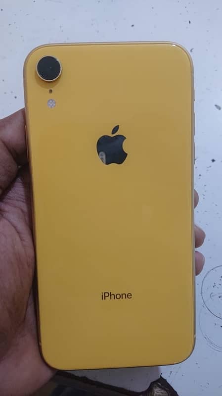 iPhone xr pta Approved 64 gb yellow colour 1