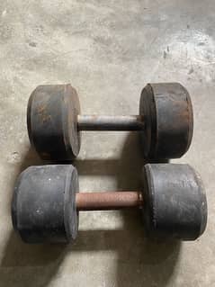 Dumbel 6kg pair