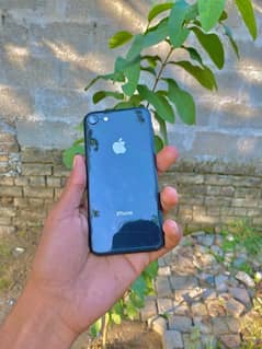 iPhone 8 Non Pta 64 Gb