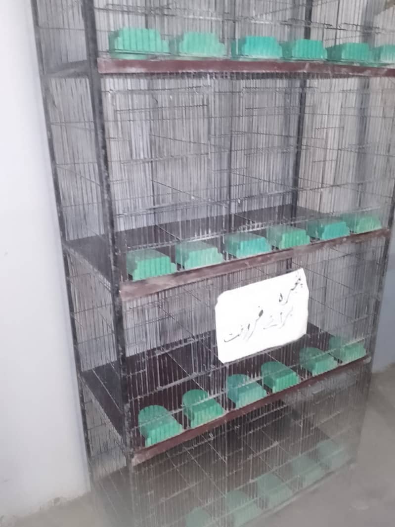 Birds Cages Available In Affordable Price 1