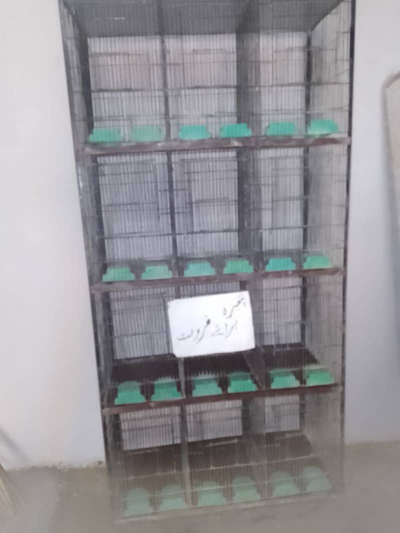 Birds Cages Available In Affordable Price 2