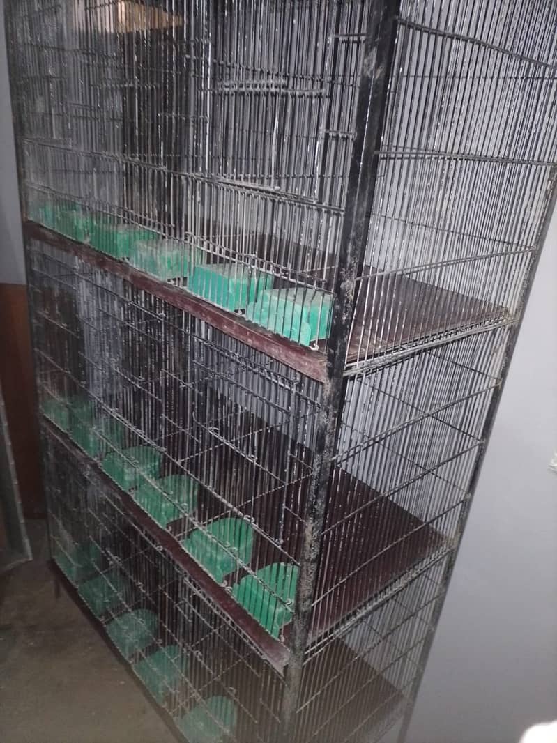 Birds Cages Available In Affordable Price 3