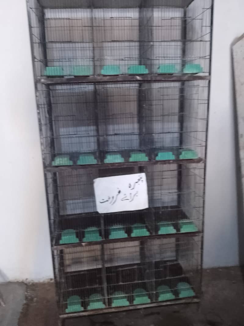 Birds Cages Available In Affordable Price 5