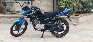 Yamaha