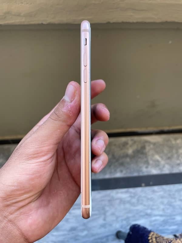 iPhone 8 plus pta 3