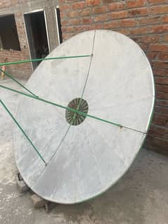 Dish