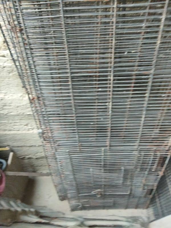 cage and birds for sale 7