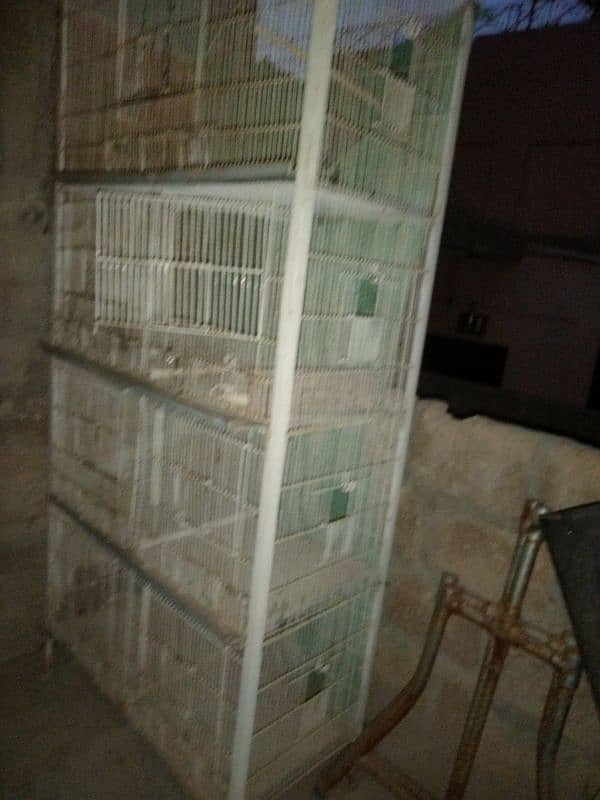 cage and birds for sale 11