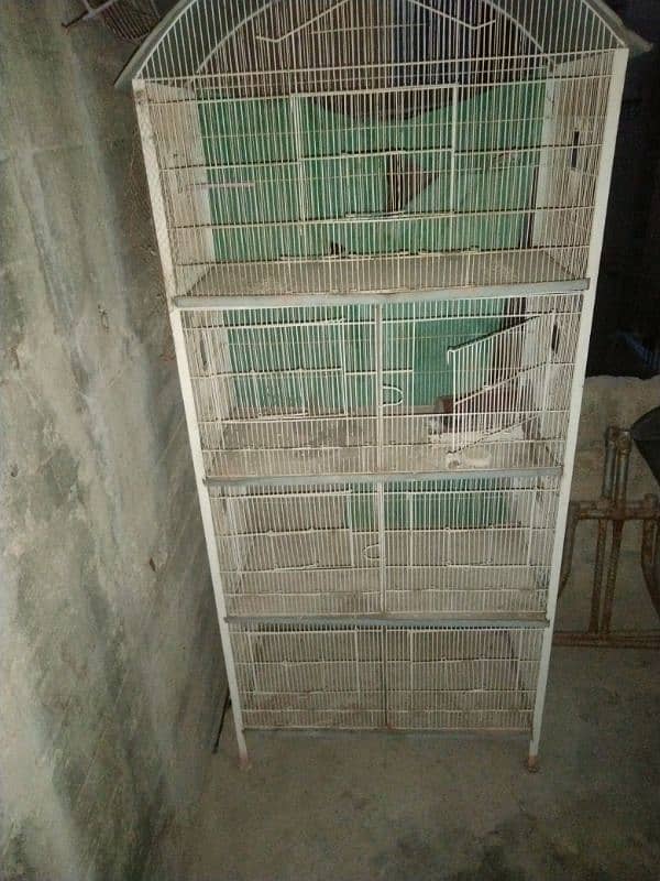 cage and birds for sale 12