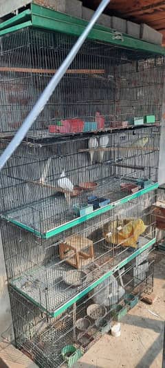 8 portion folding cage 0