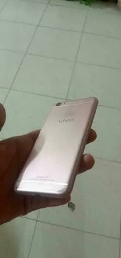 vivo