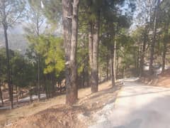 Residential Plot for sale on Installments in Murree Green Valley 0