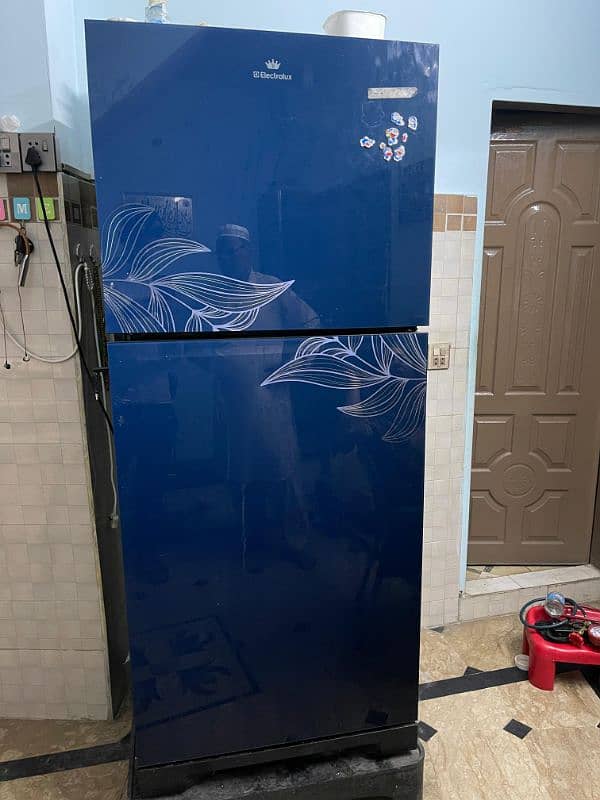 Electrolux Referigerator|Fridge|2 Door Fridge 3