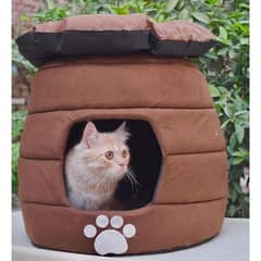 Premium Quality Velvet pet house for kittens