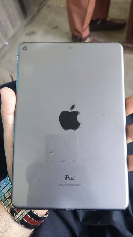 ipad mini 5 0