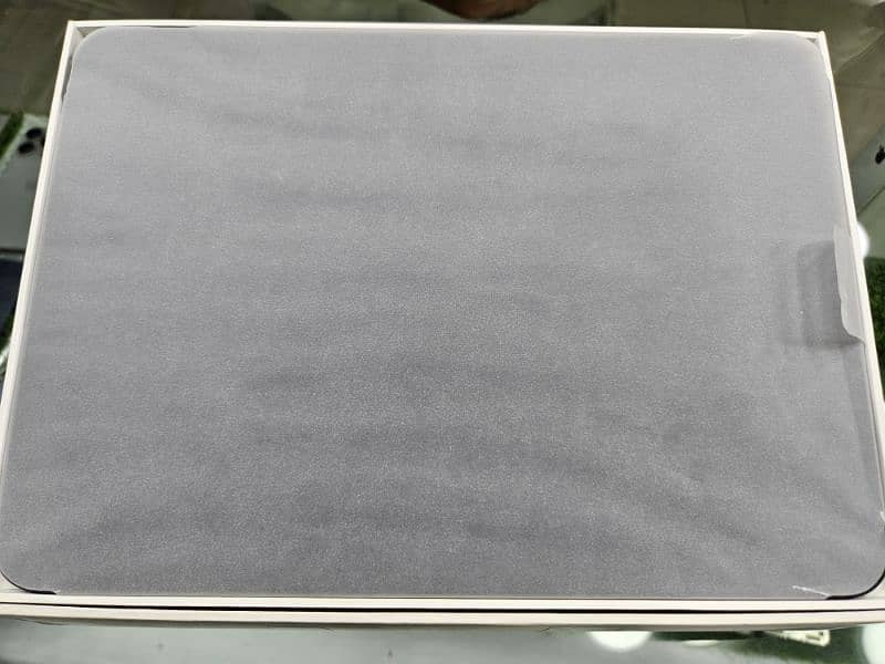 Ipad Pro M4 256GB Wifi + Cellular 2