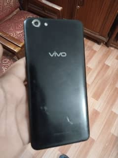 vivo