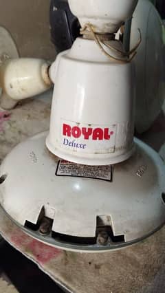 02 Royal fans for sale