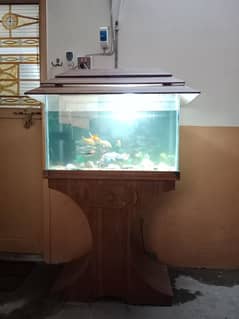 Fish Aquarium For Sale Urgent 0