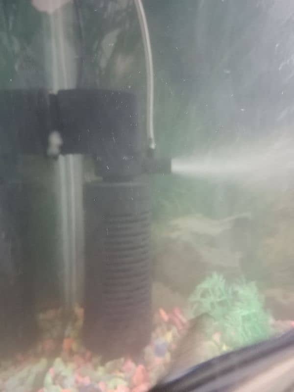 Fish Aquarium For Sale Urgent 1