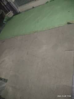 Carpet 12 x 17 foot urgent sale