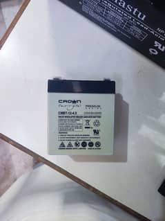 Crown Micro Dry Battery