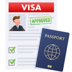 Case prepration forAny visa 03411191465 whatsapp