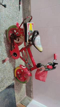 Mini cycle