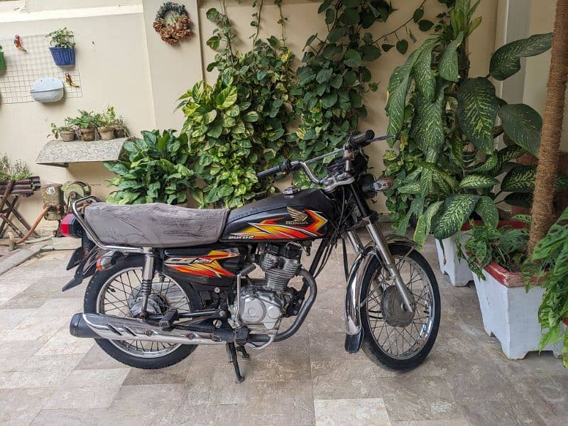 HONDA CG 125 2022 SUKKUR NUMBER 1