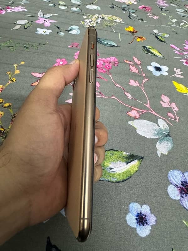 Iphone 11 Pro Max- Pta Approved- 256gb 4