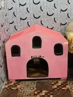 cat or dog house