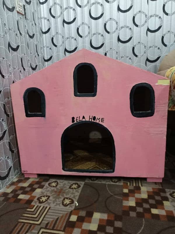 cat or dog house 1