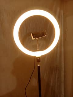 26cm Ring light with 7 feet stand 0