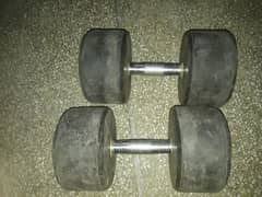 snk dumbbell 10 kg for sale 0