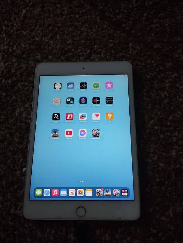 ipad Mini 5 0