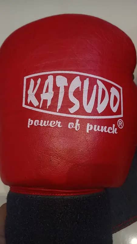 Gym Boxing gloves Imported 2