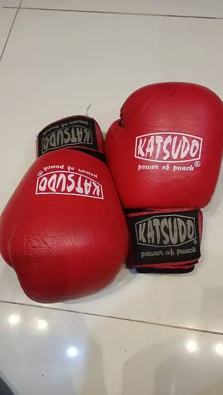 Gym Boxing gloves Imported 4