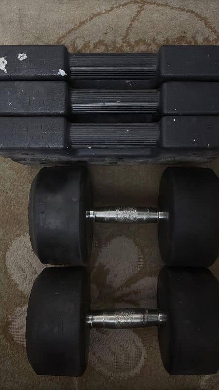 Power Max 8KG Dumbbells+ 3 bodyweight exercise rubber plates(6kg each) 6