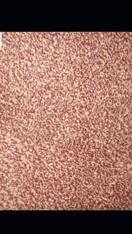 carpet 0