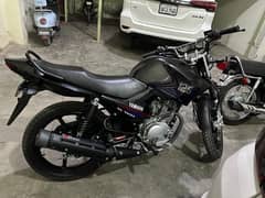 Yamaha ybr G top verinat 0