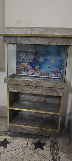 Fish Aquarium (with gift)