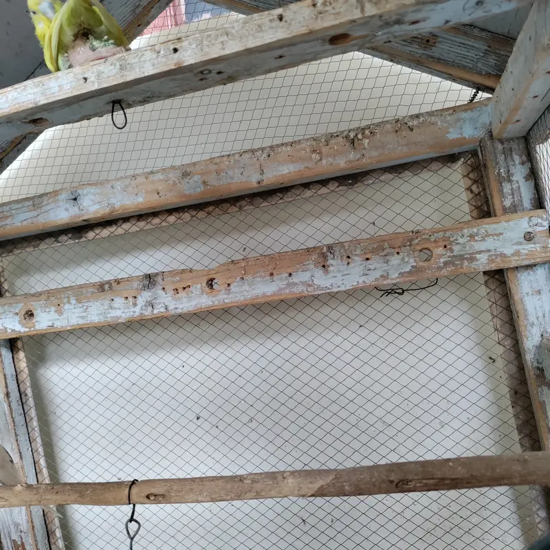 ONLY CAGE-Portable Wooden Cage 27wx33hx22inch depth — photo 12