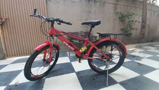 Chinese Bicycle 0